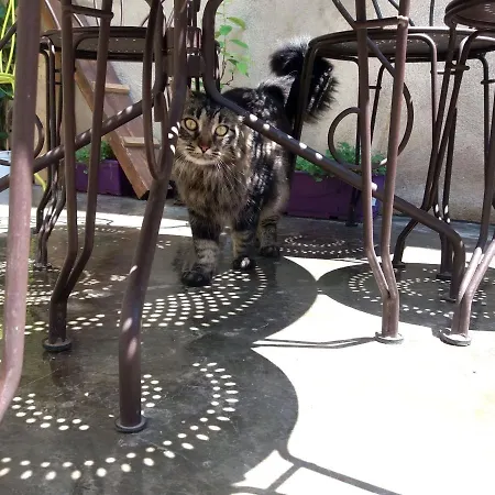 Frühstückspension Les Terrasses De Saillans *